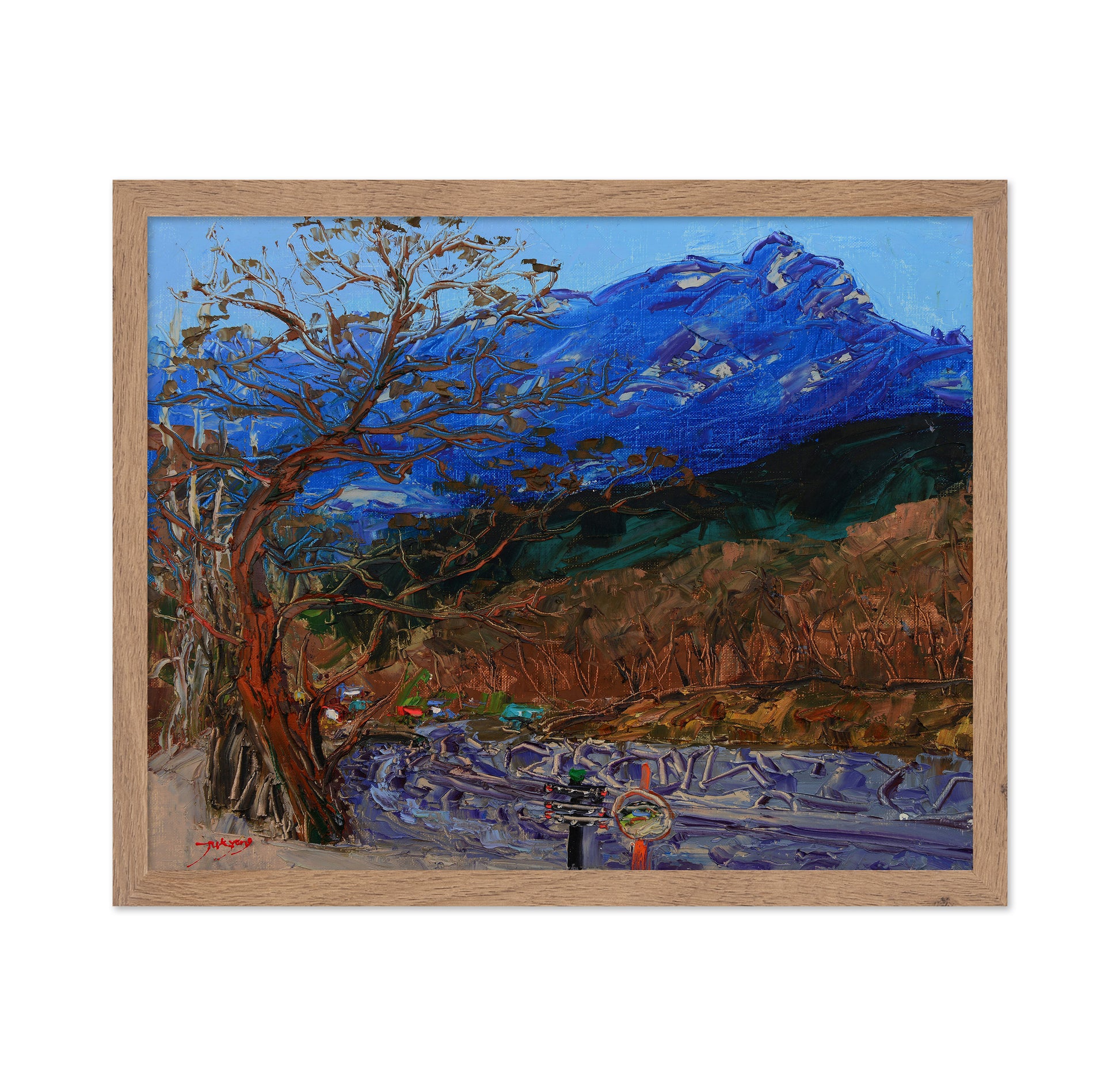 Mountain
