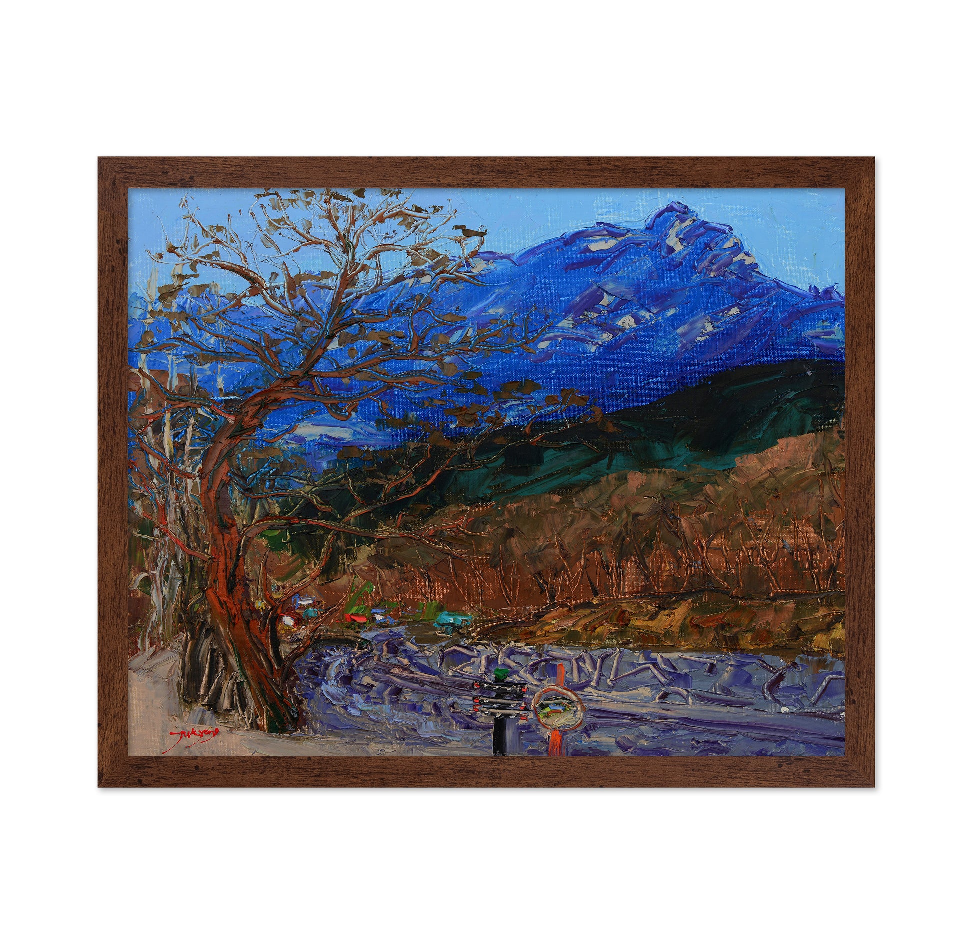 Mountain