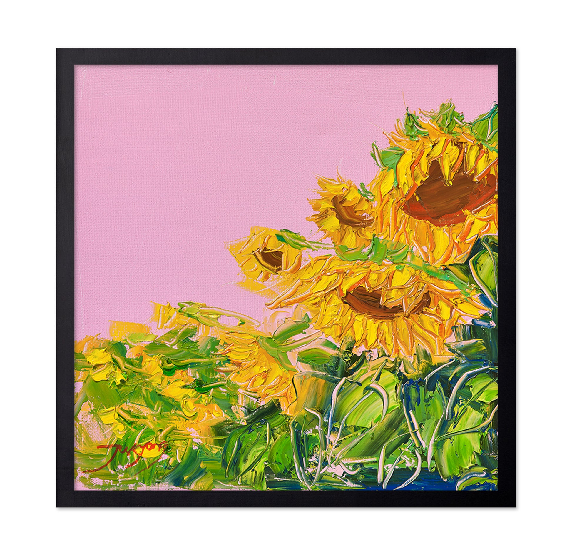 Sunflowers No 5