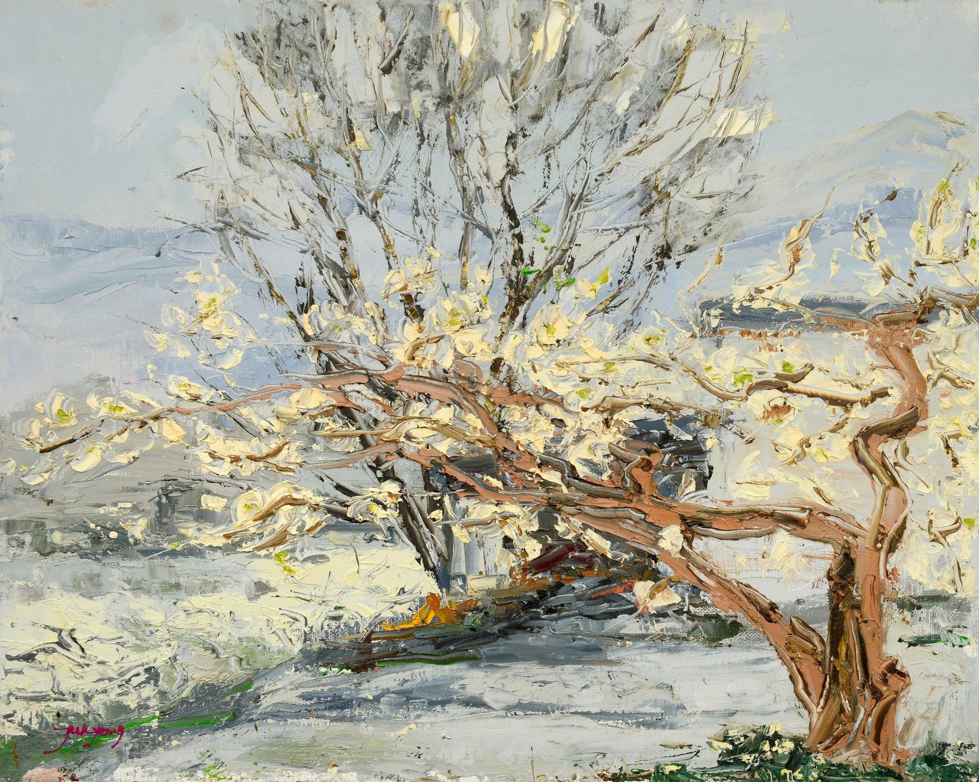 Pear Tree Flower Landscape