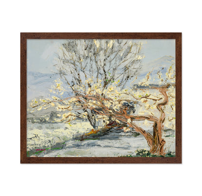 Pear Tree Flower Landscape
