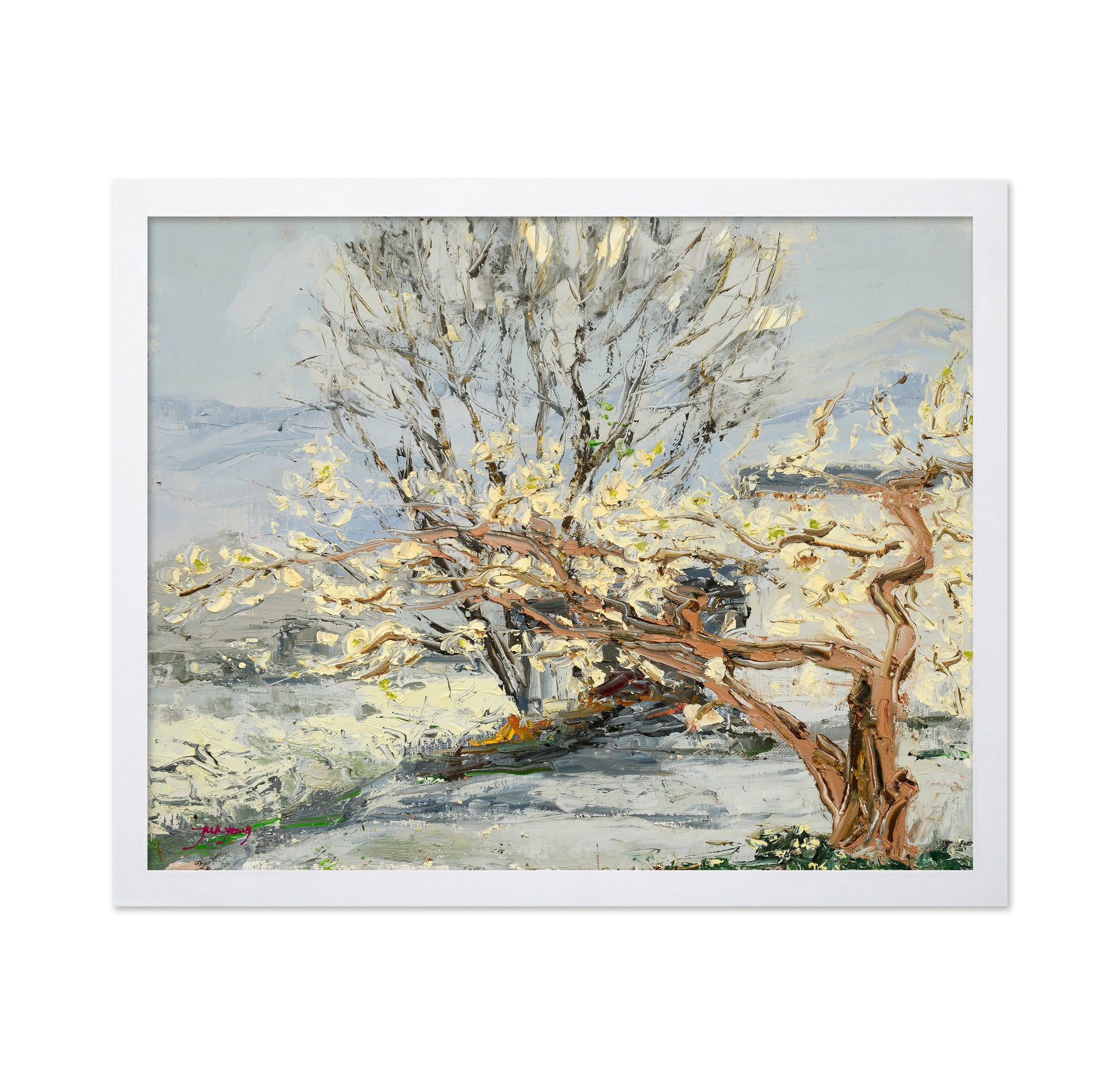 Pear Tree Flower Landscape