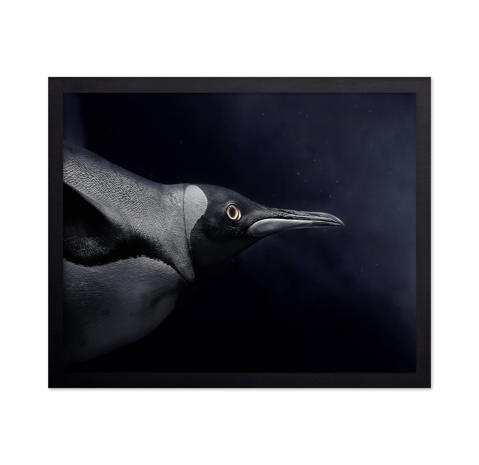 Swim in Dark