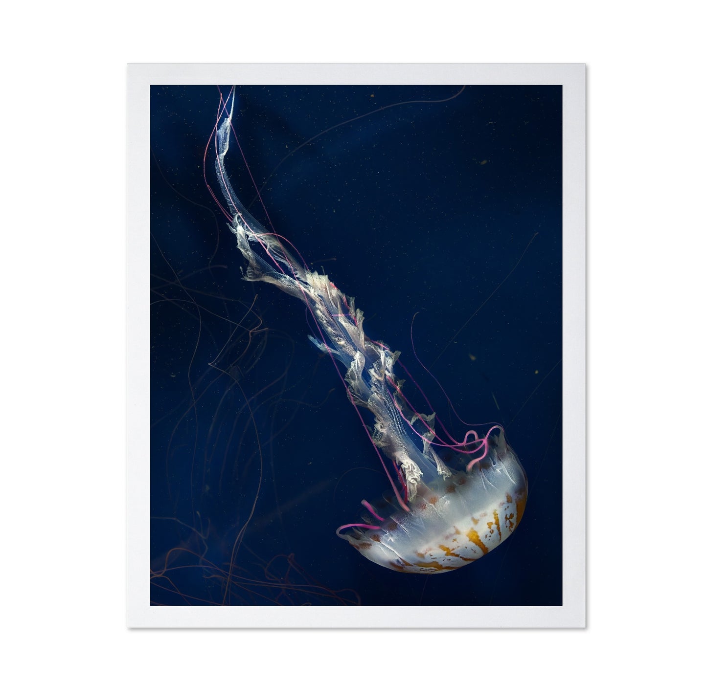 Neon Jelly