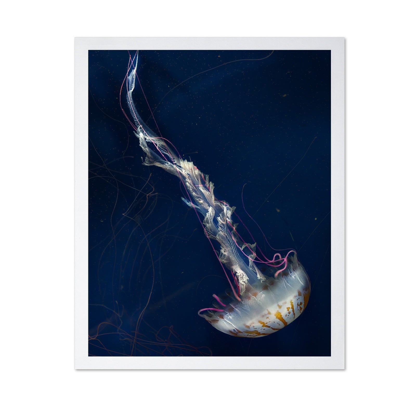 Neon Jelly