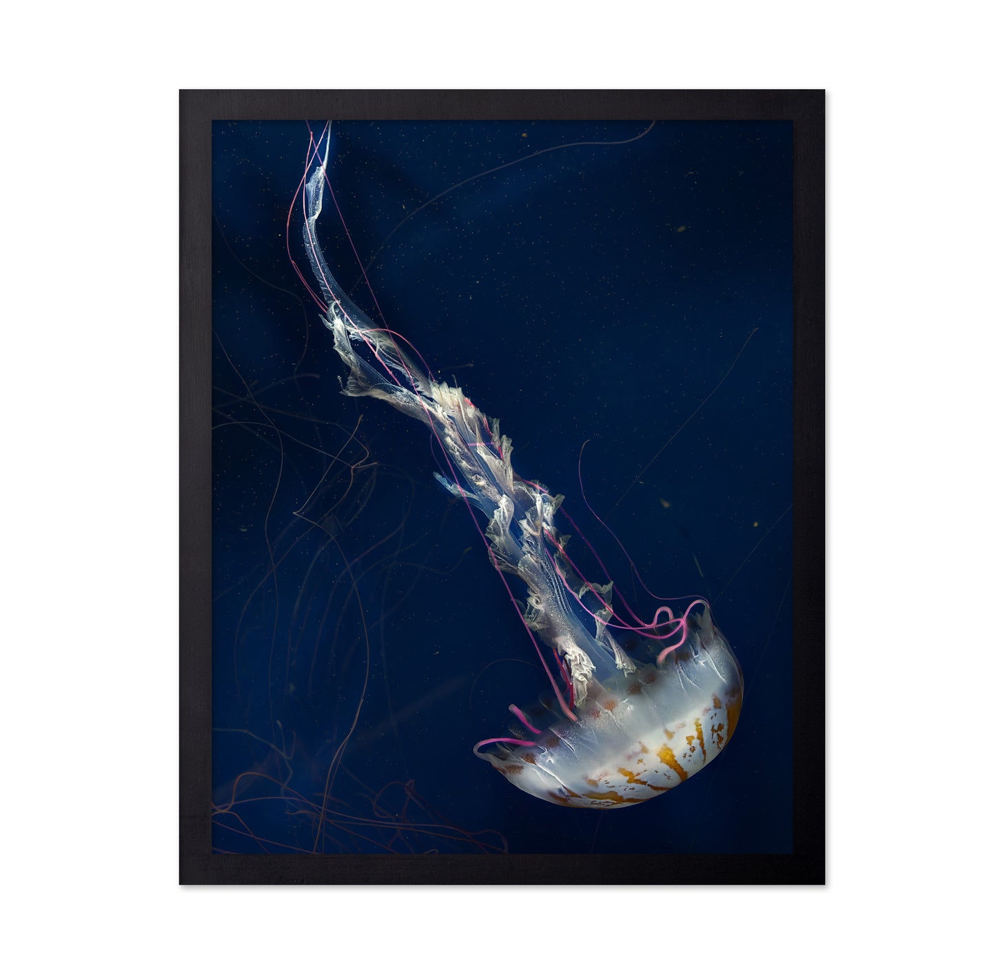 Neon Jelly