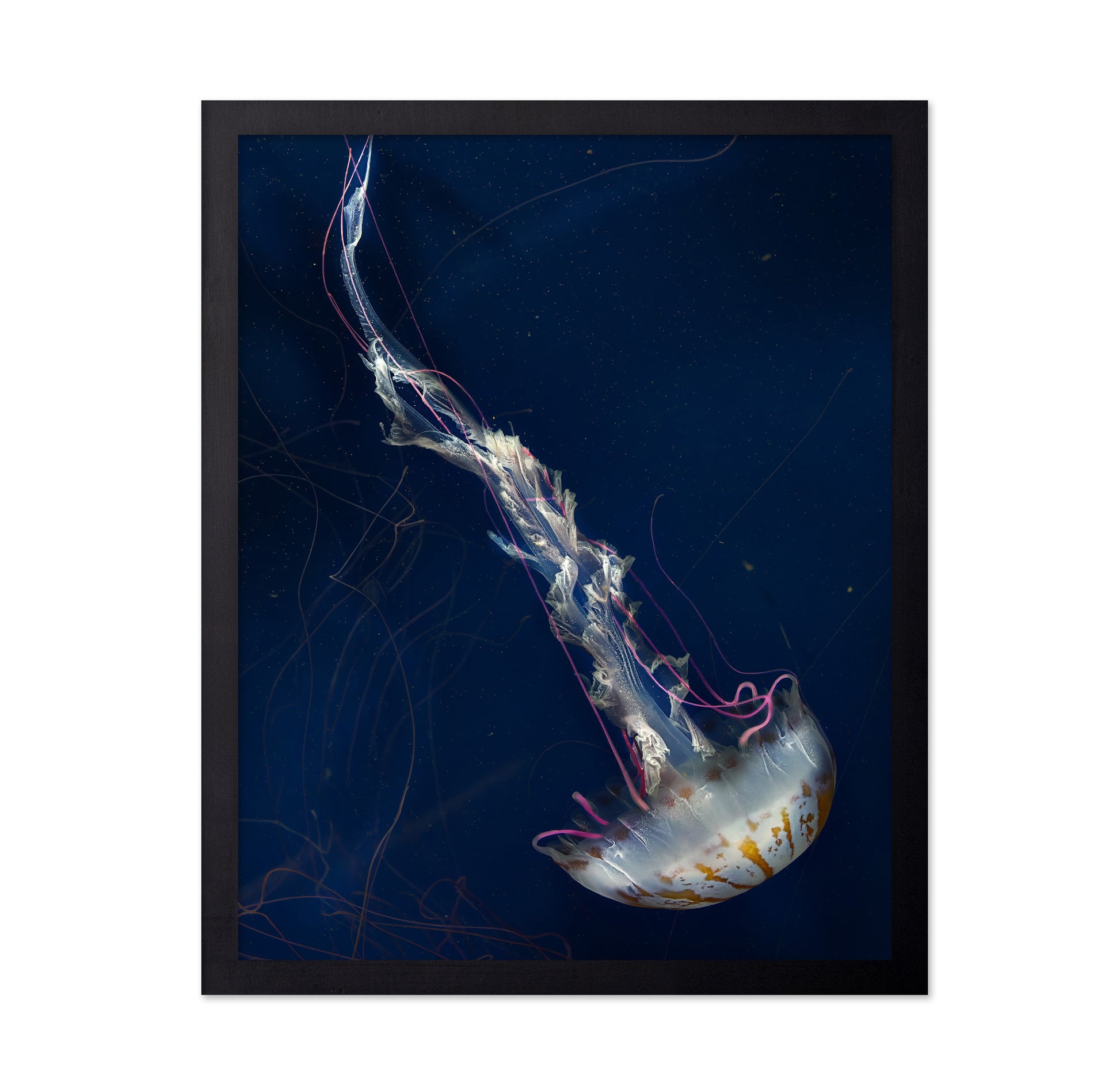 Neon Jelly
