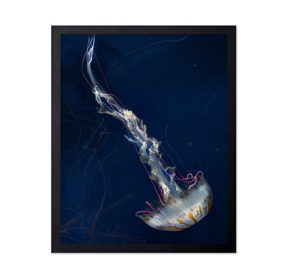 Neon Jelly