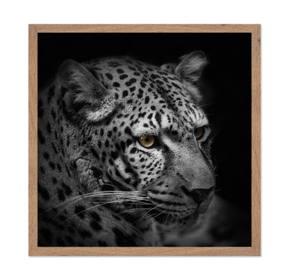 Monochrome Hunter