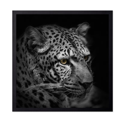 Monochrome Hunter