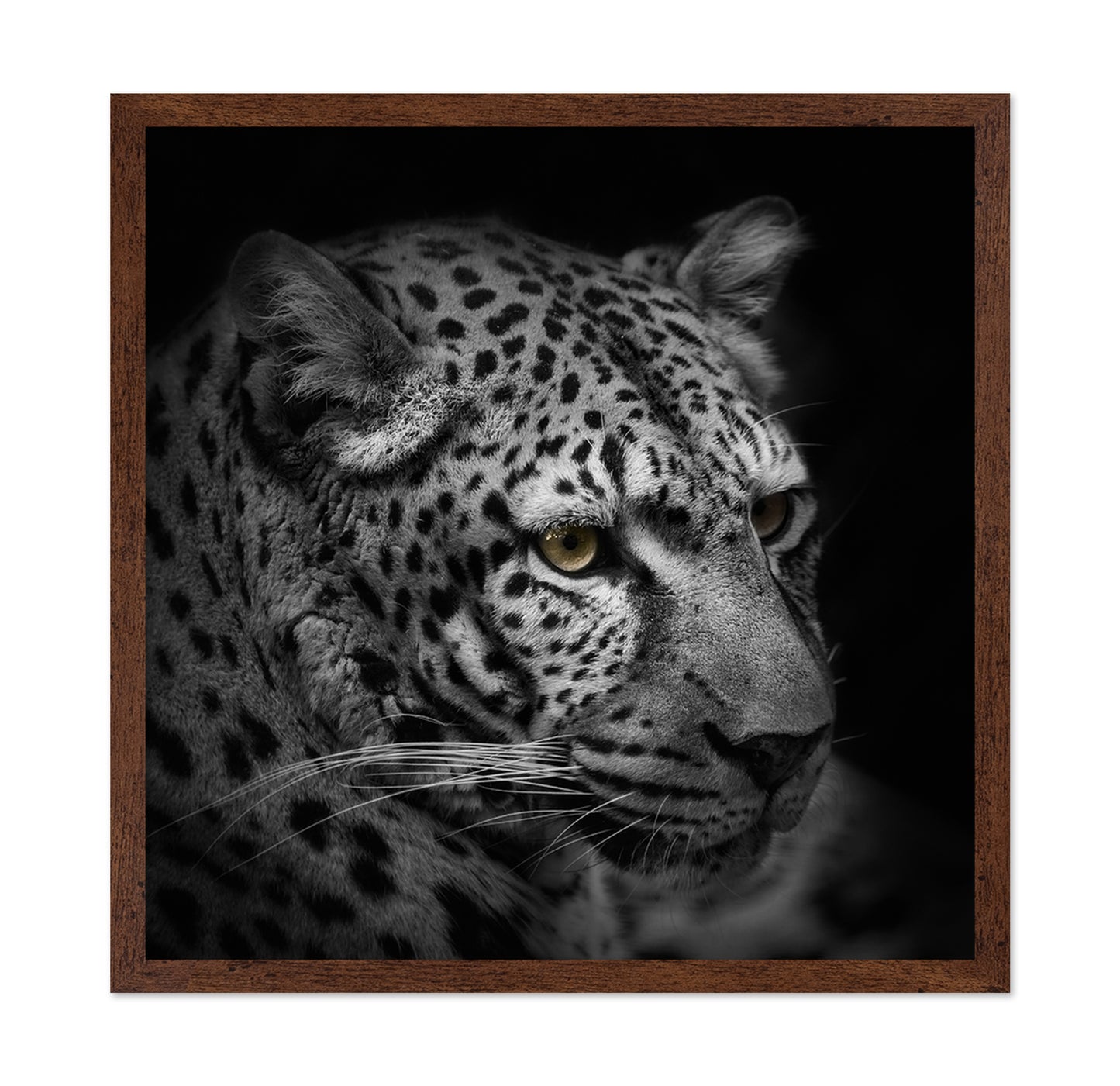 Monochrome Hunter