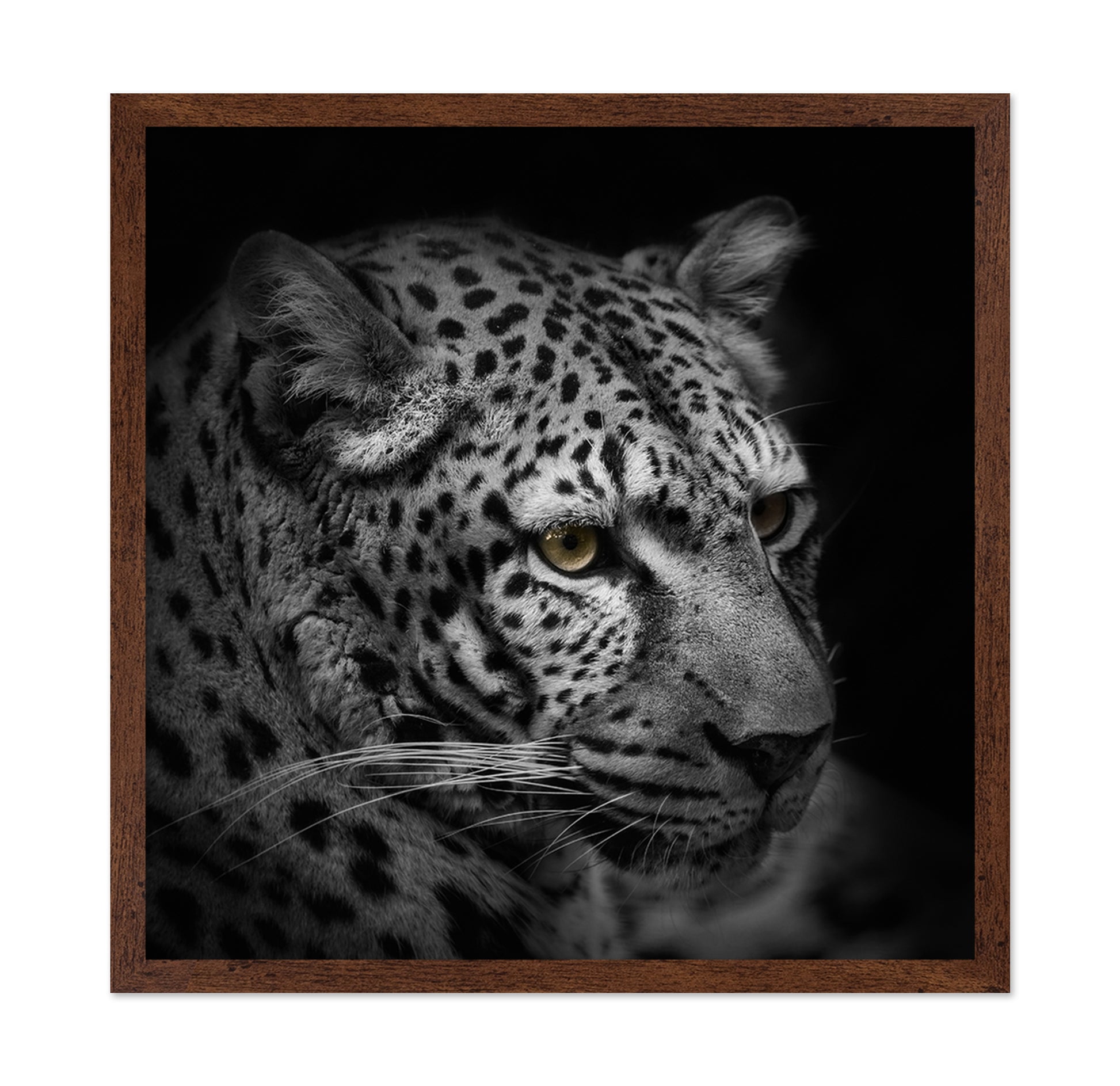Monochrome Hunter