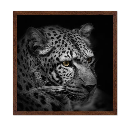 Monochrome Hunter
