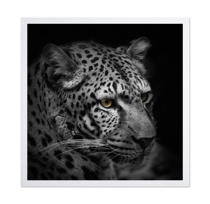 Monochrome Hunter