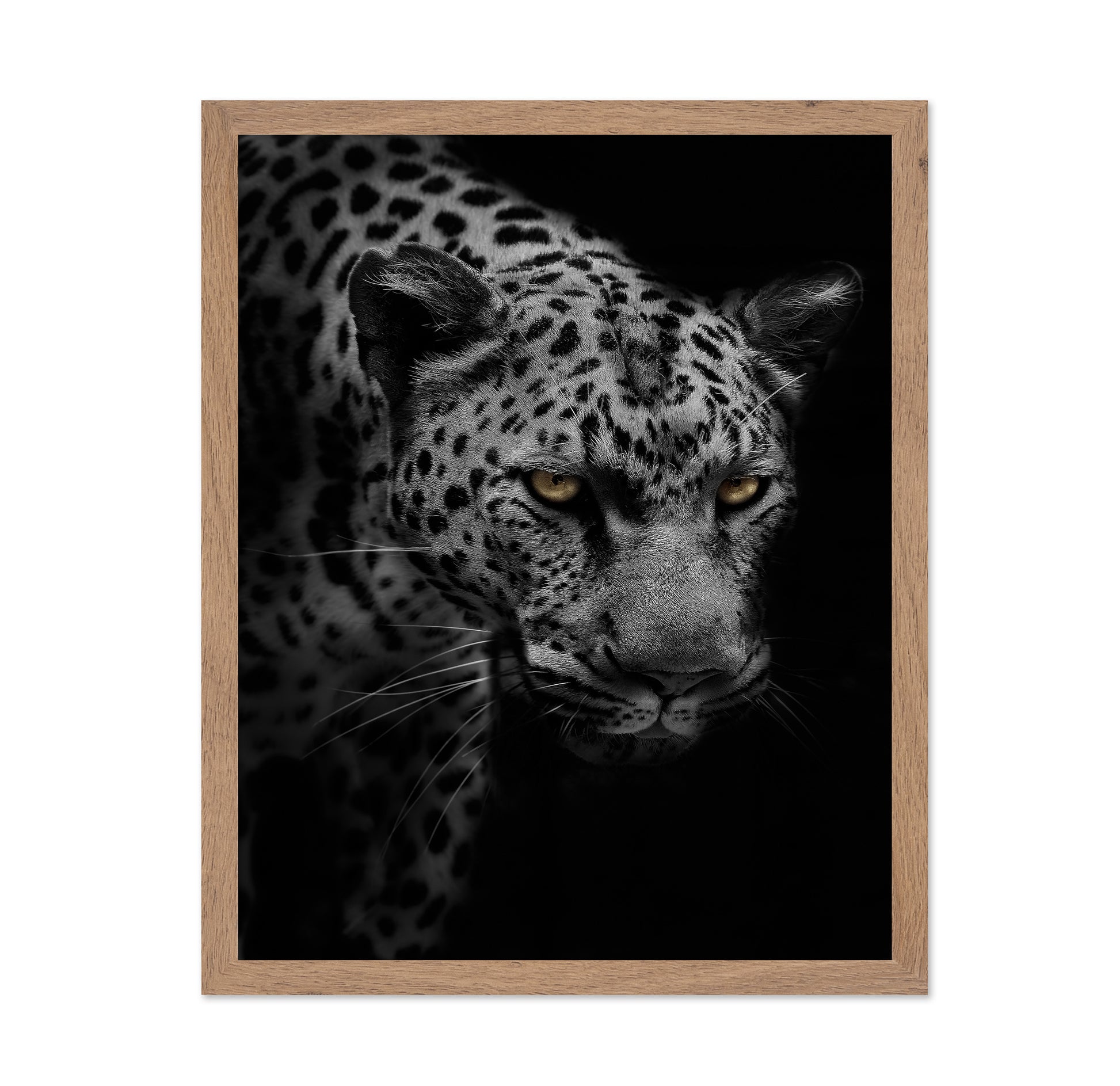 Portrait of Leopard