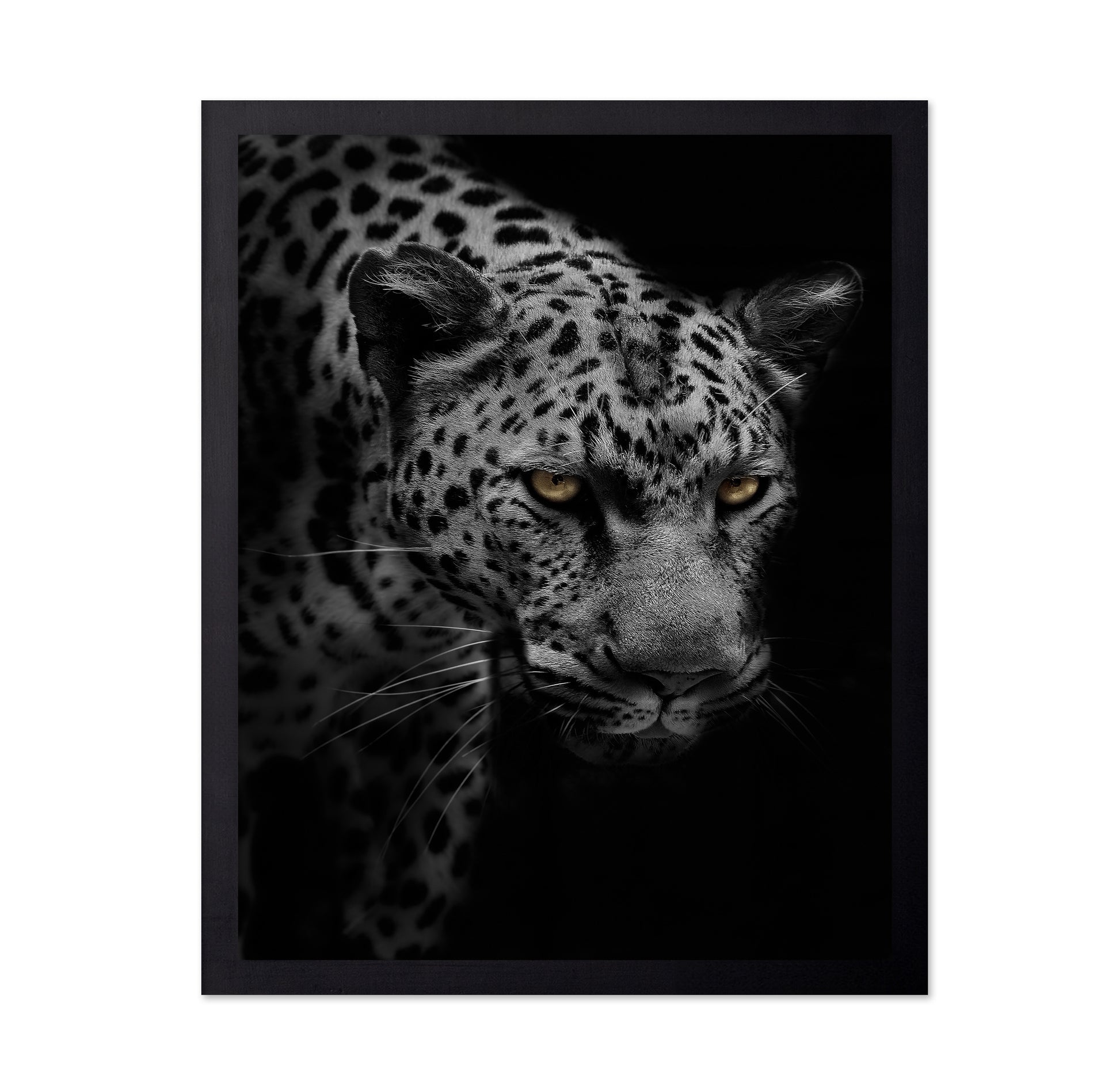 Portrait of Leopard