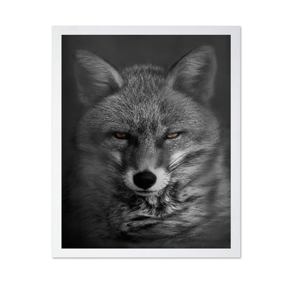 Fox's Gaze