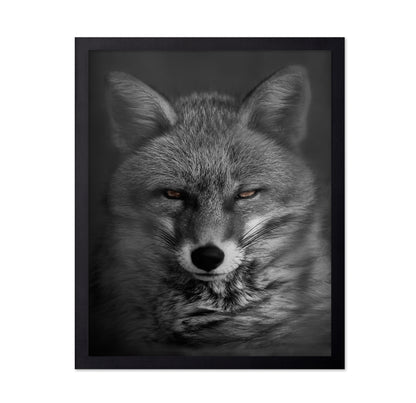 Fox's Gaze