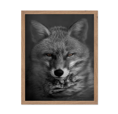 Fox's Gaze