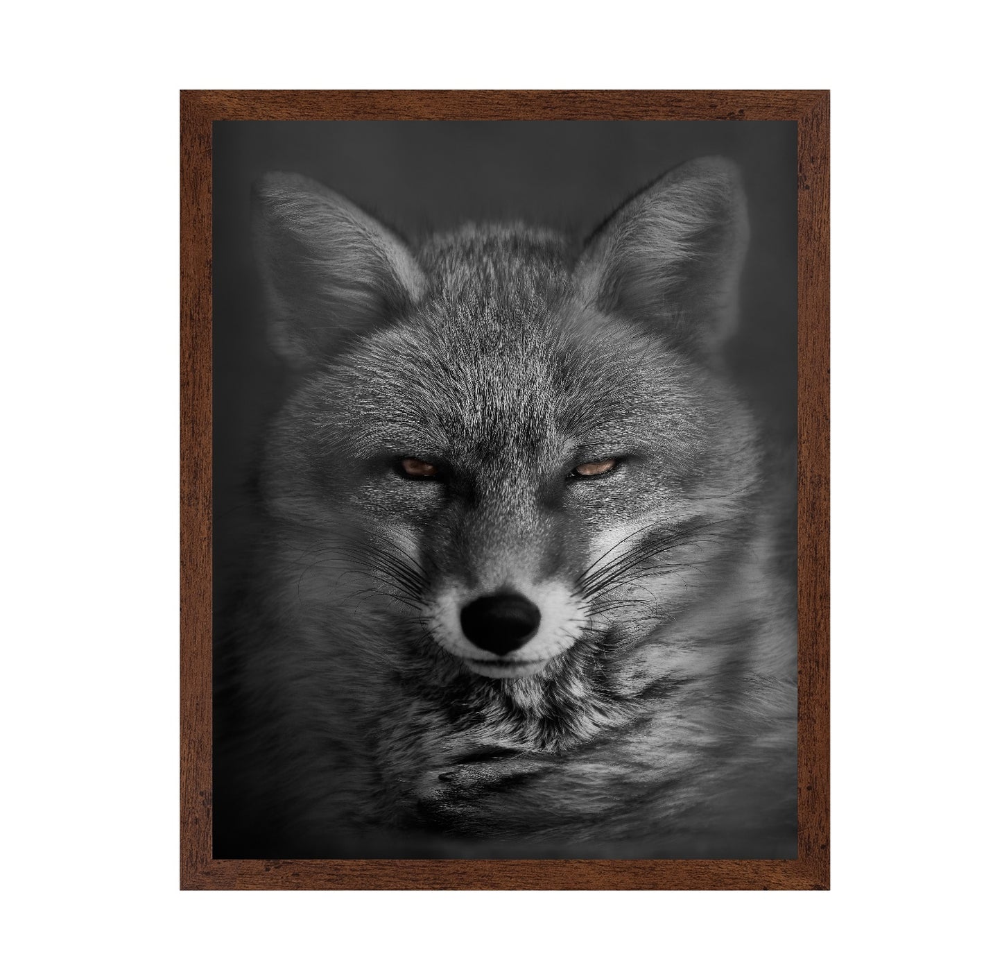 Fox's Gaze