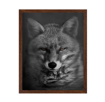 Fox's Gaze