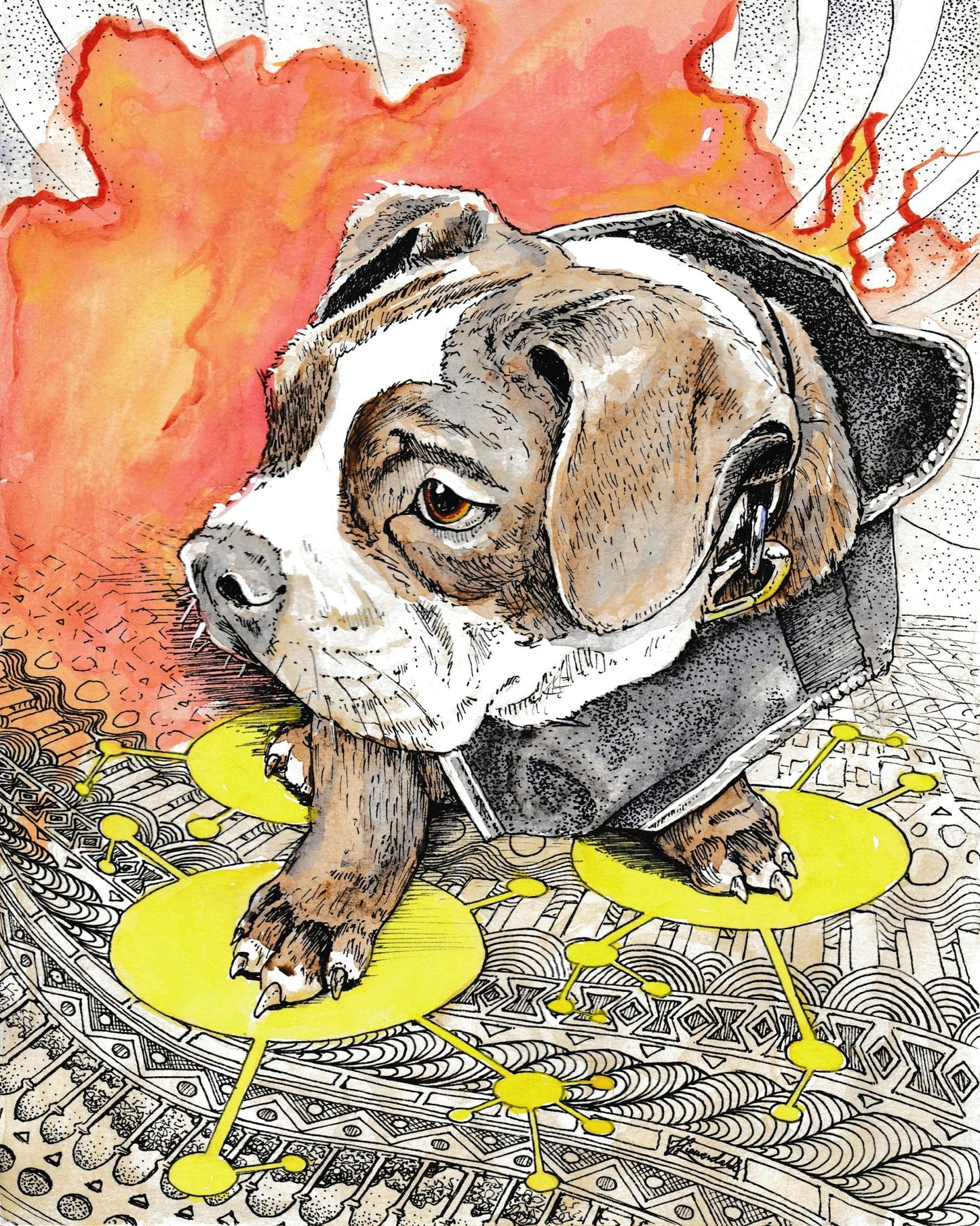 English Bulldog Doodle