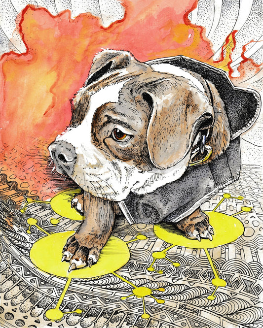 English Bulldog Doodle
