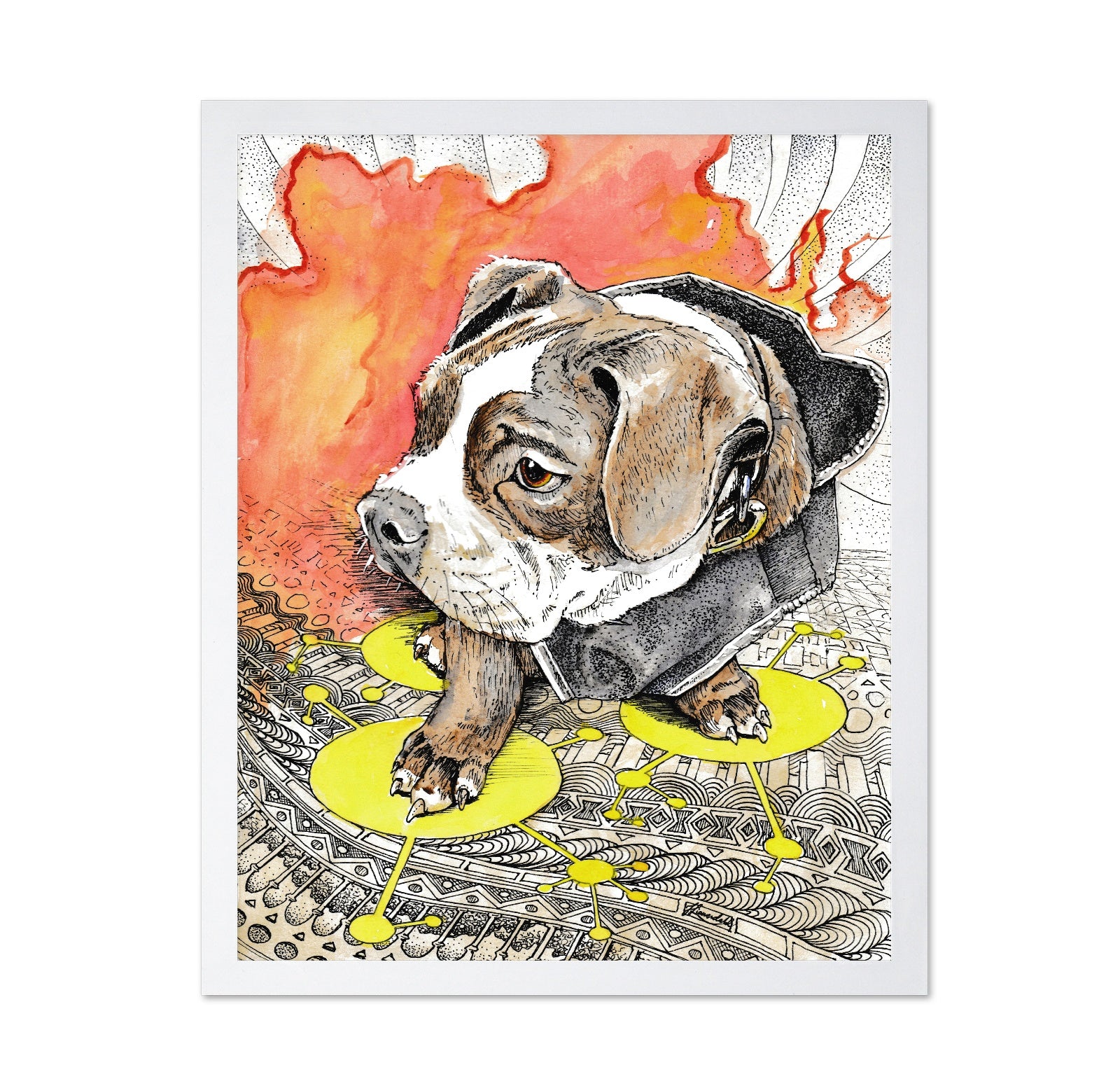 English Bulldog Doodle