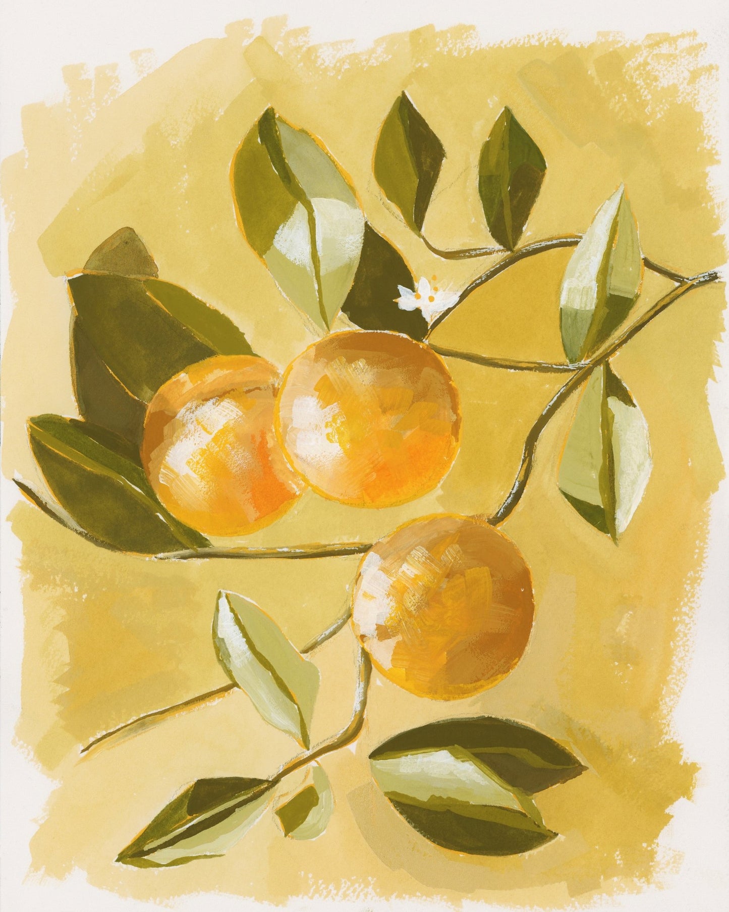 Orange Tree