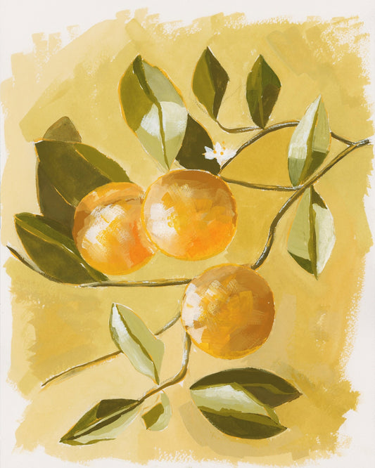 Orange Tree