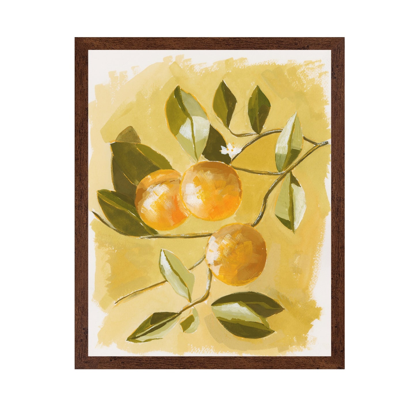 Orange Tree
