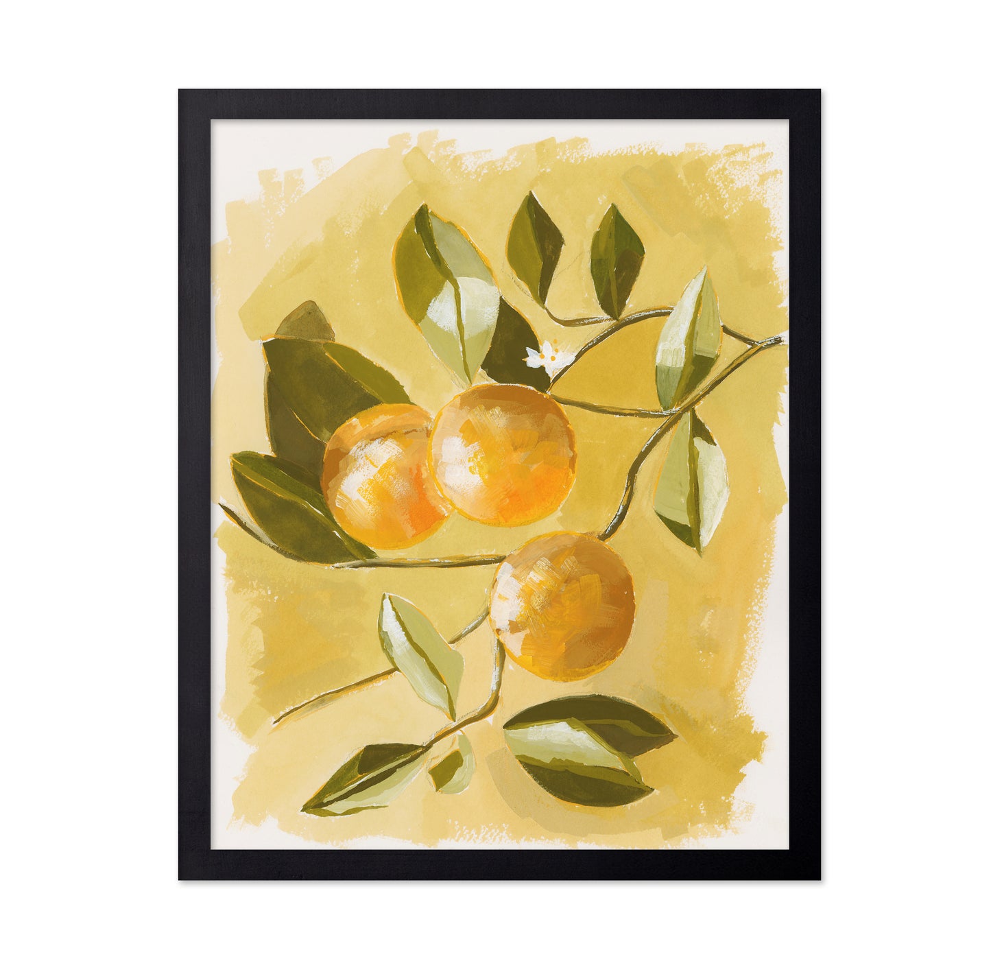 Orange Tree
