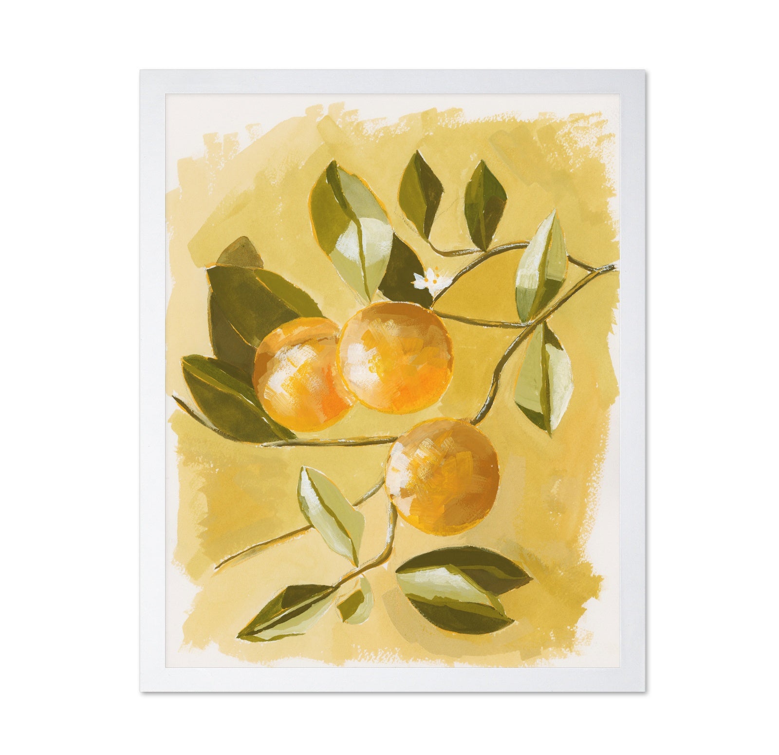Orange Tree
