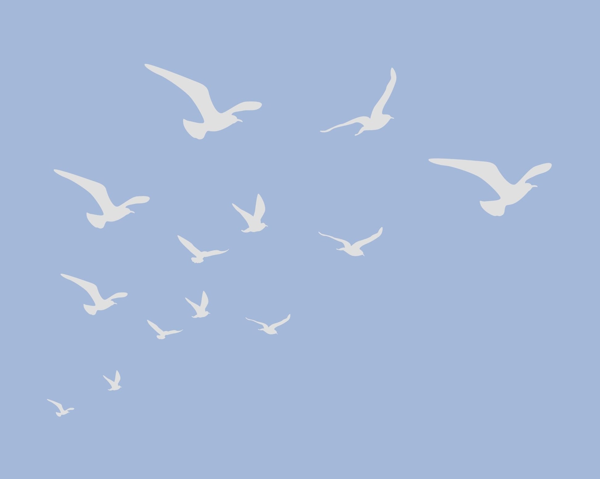 Seagulls Blue Background