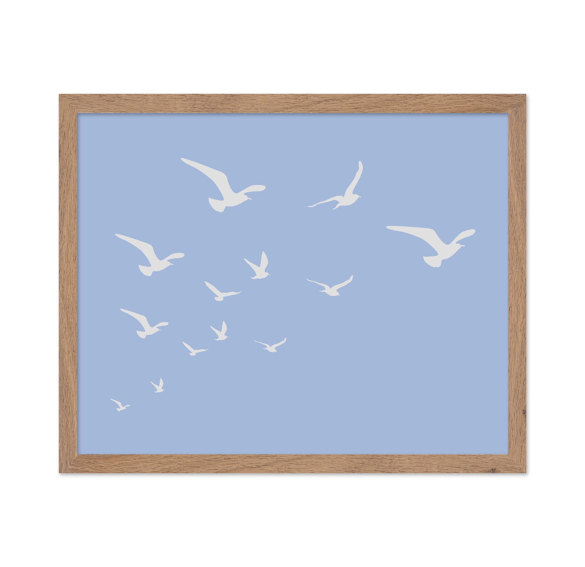 Seagulls Blue Background