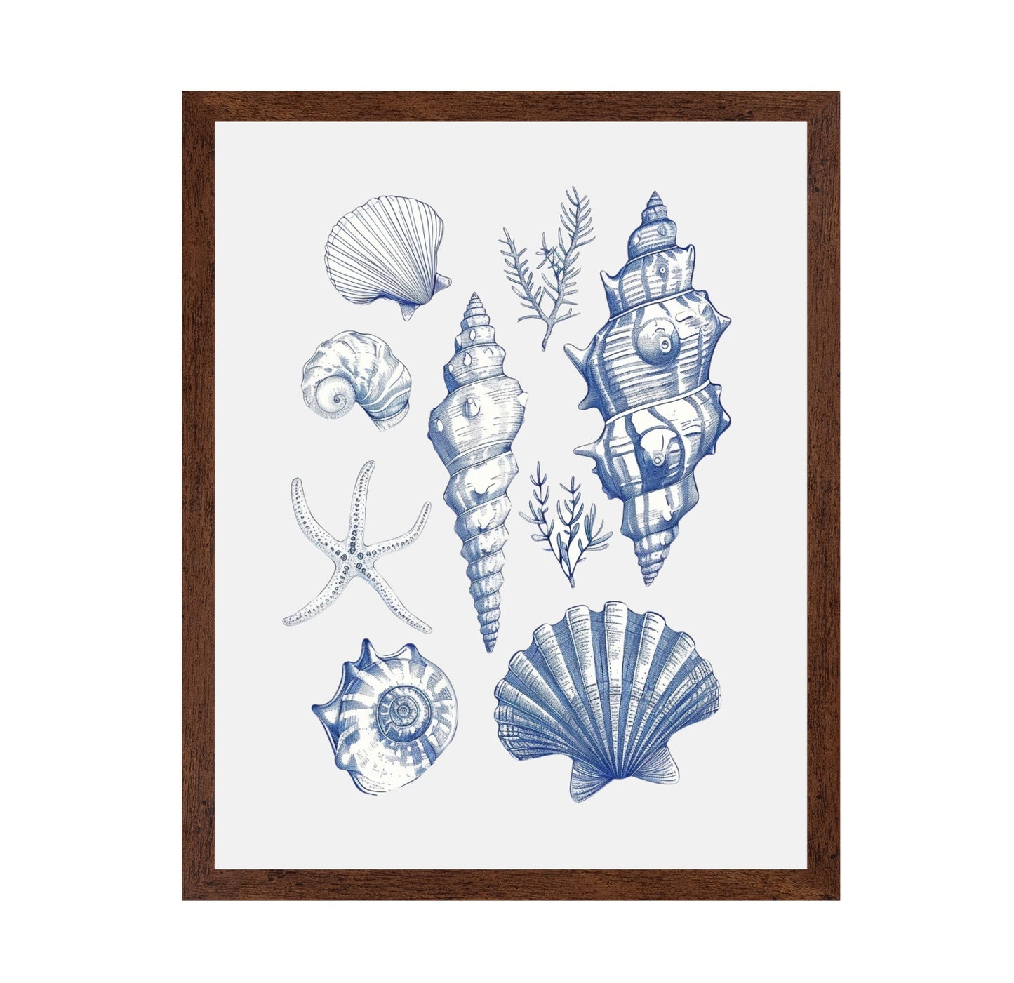 Shell Collage