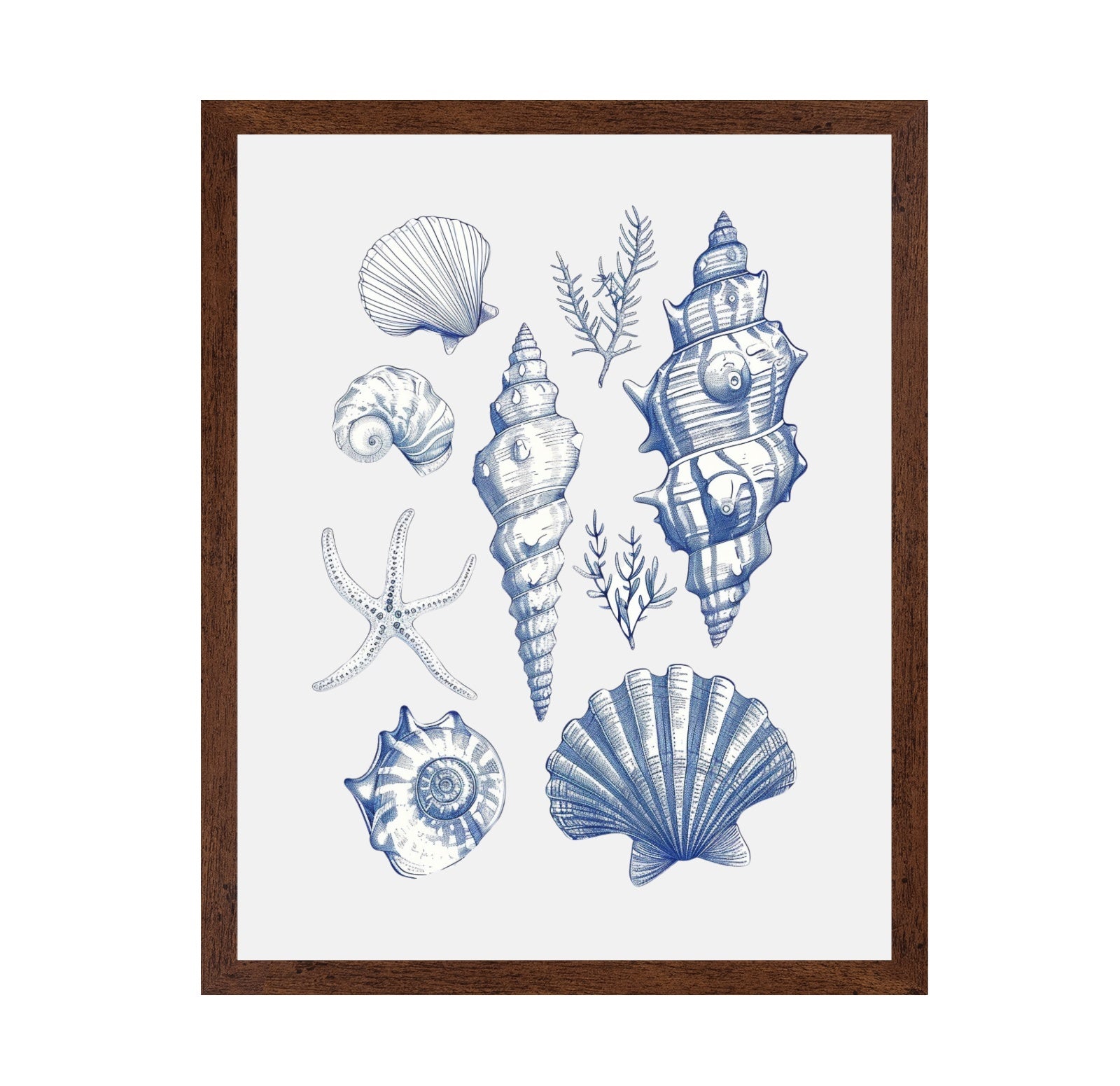 Shell Collage