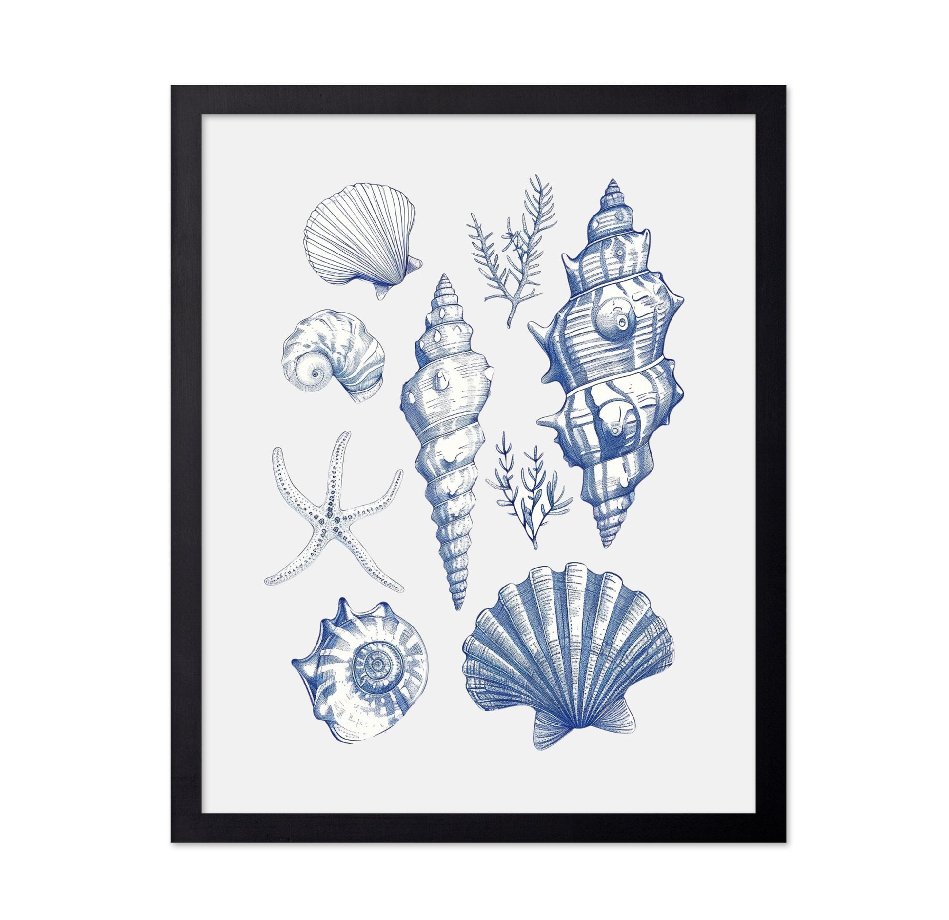 Shell Collage