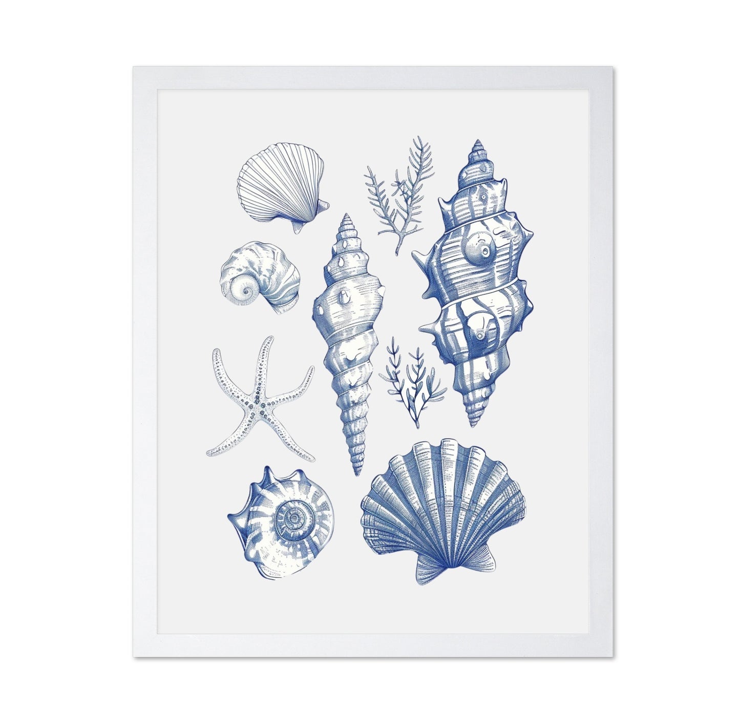 Shell Collage