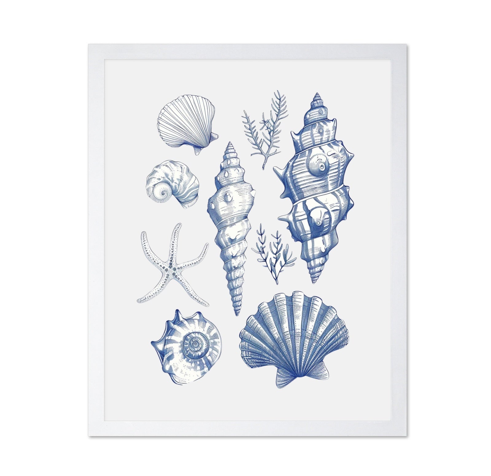 Shell Collage