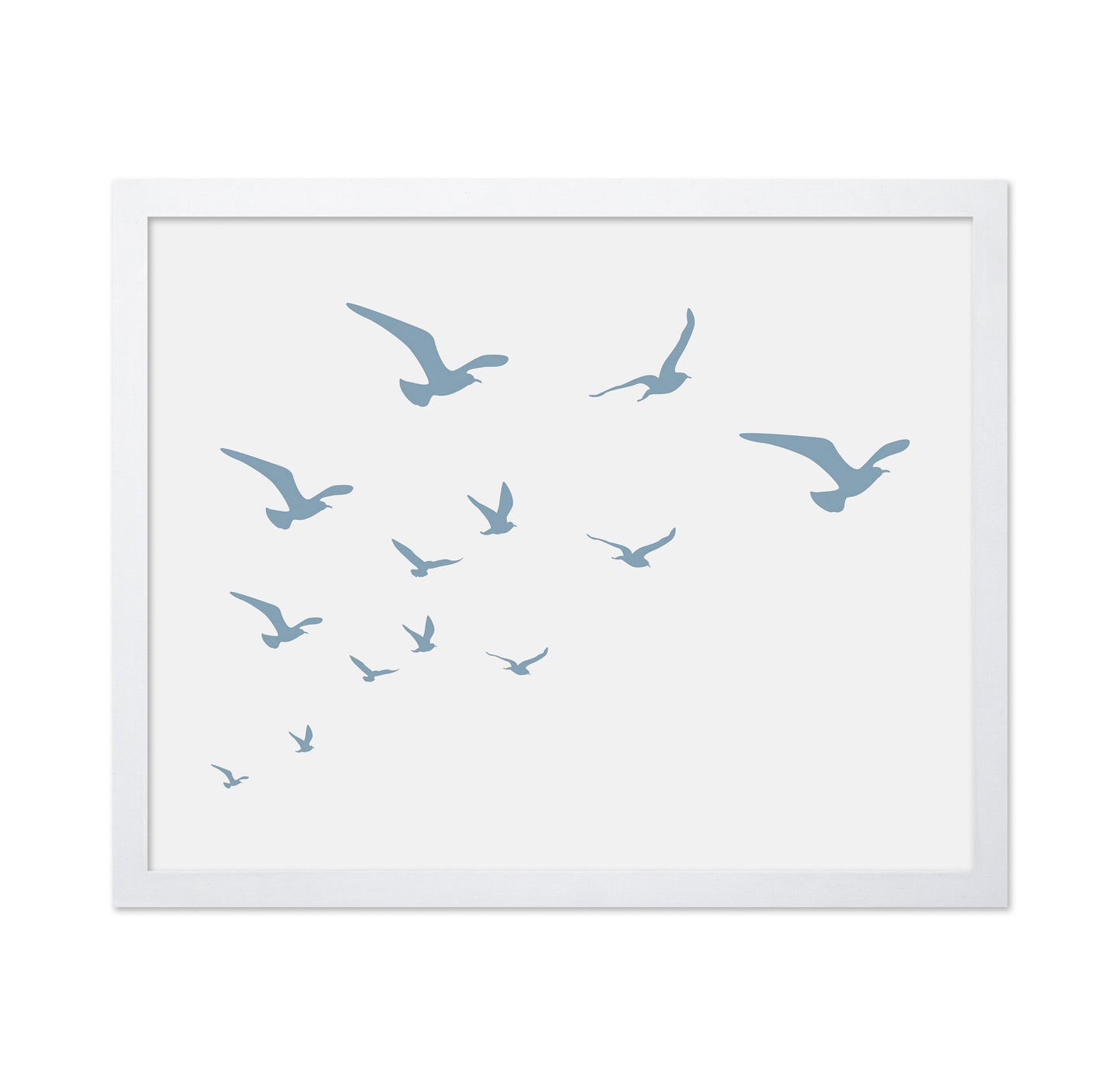 Seagulls White Background