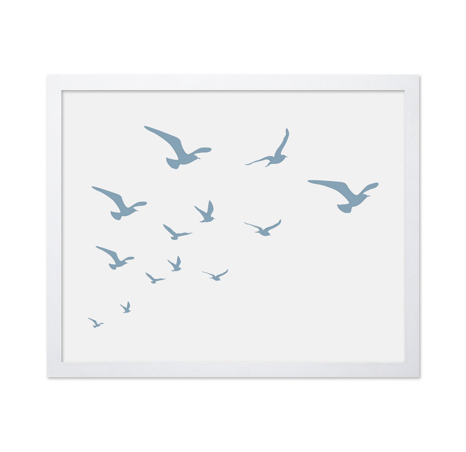 Seagulls White Background