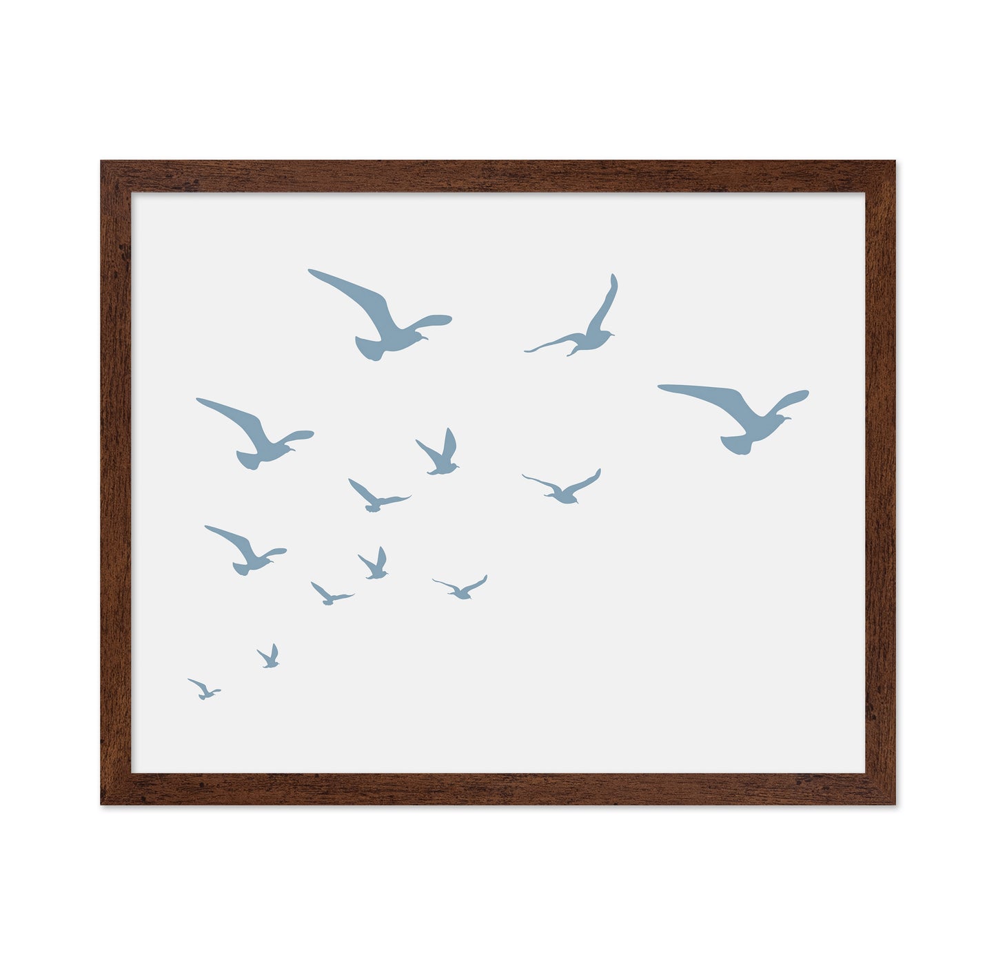 Seagulls White Background