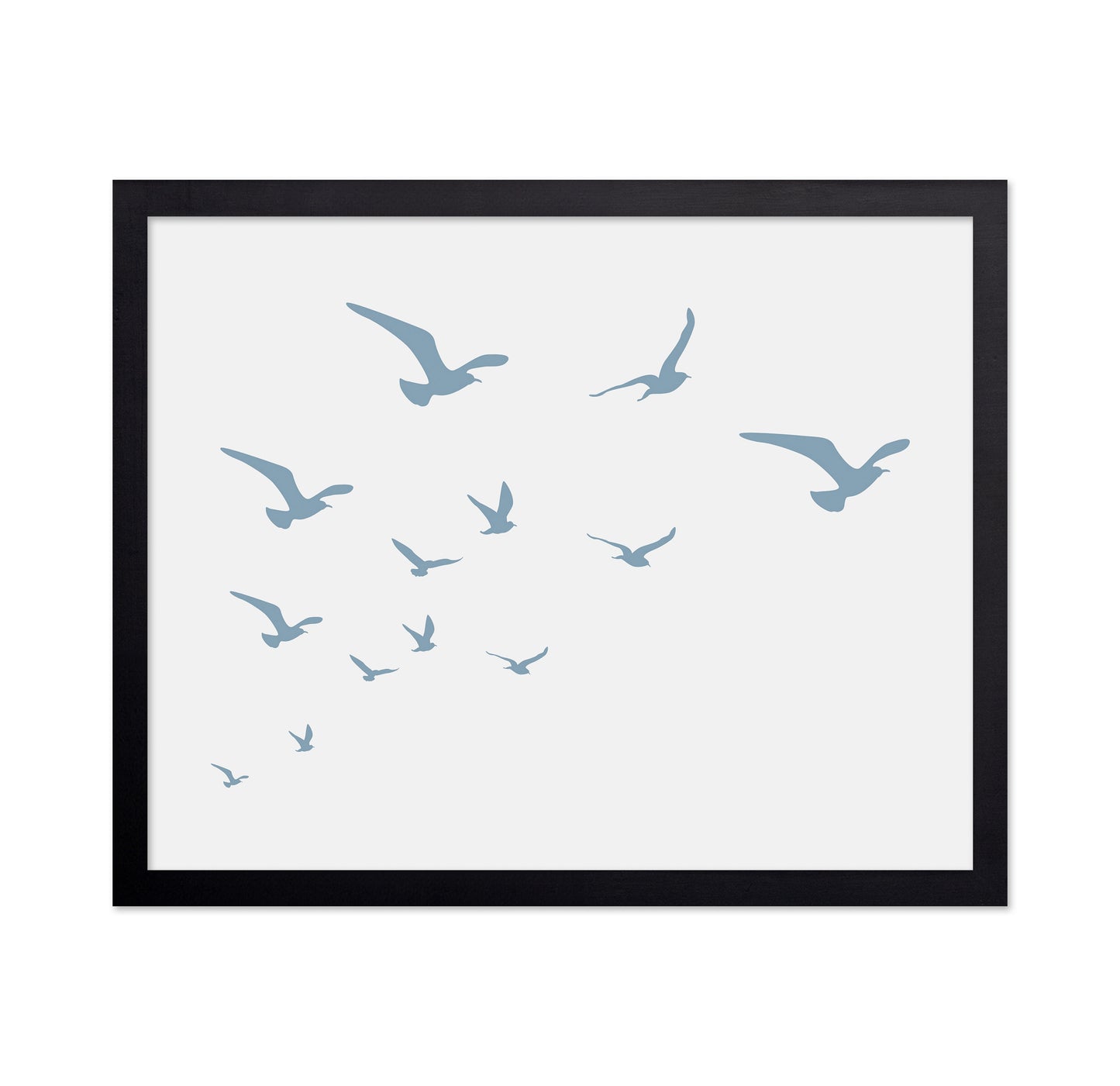 Seagulls White Background