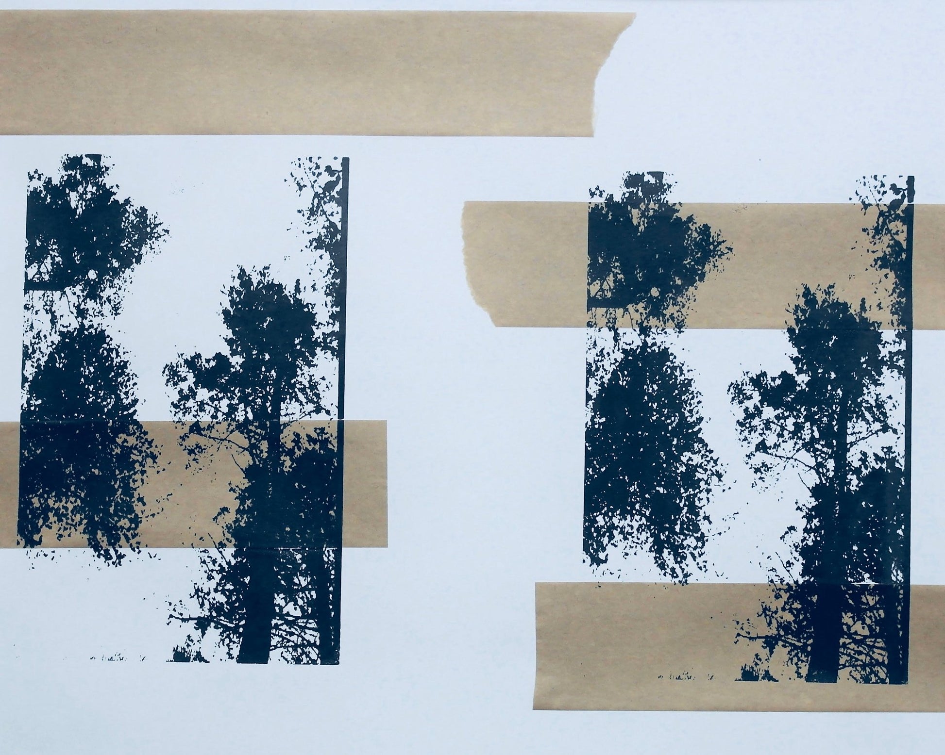 Forest Layers