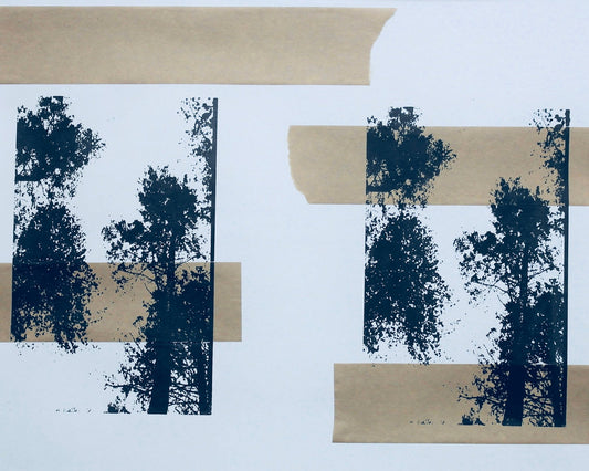 Forest Layers
