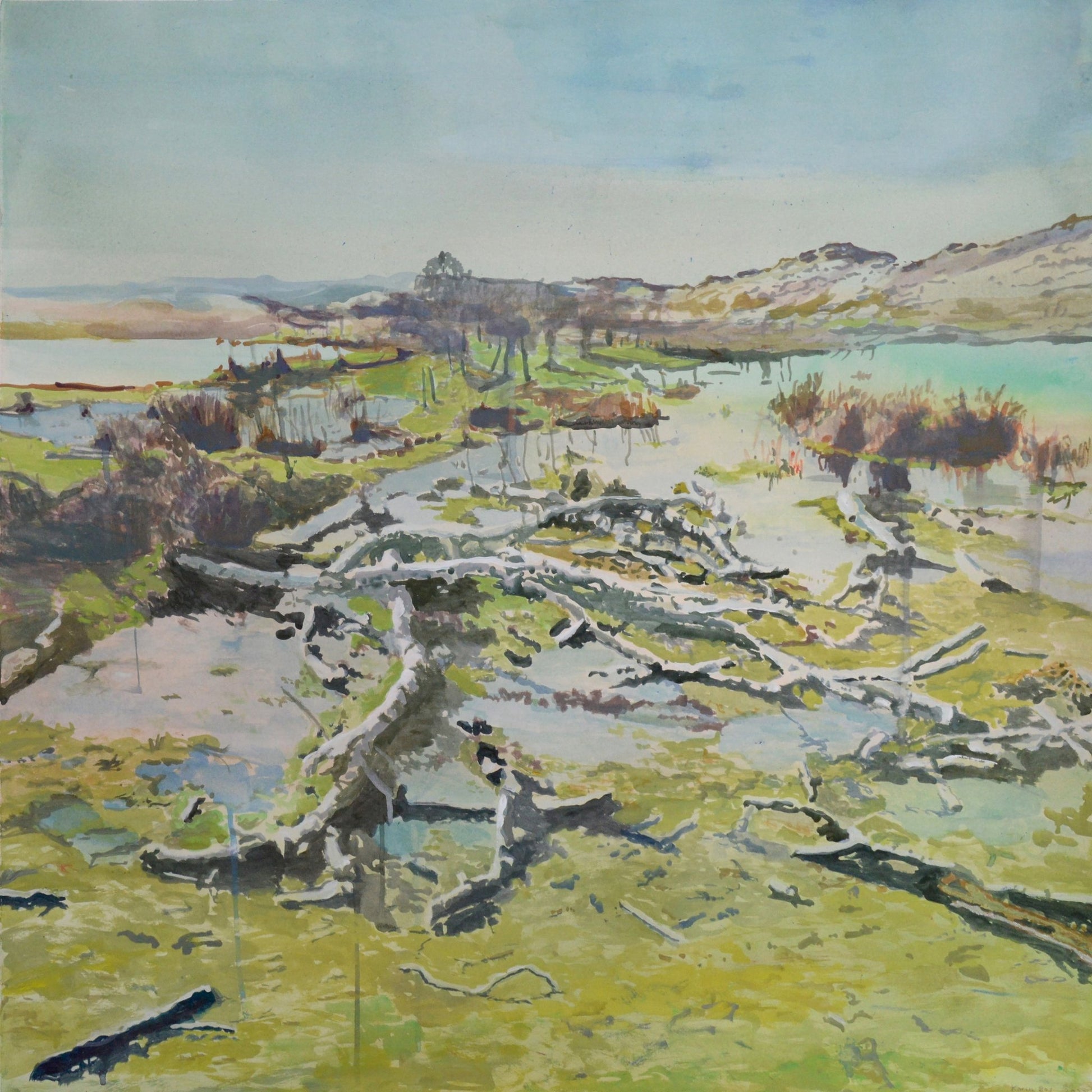 The Sunken Grove