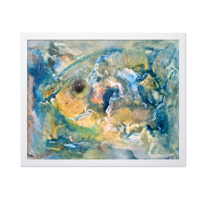 Fish in Motion