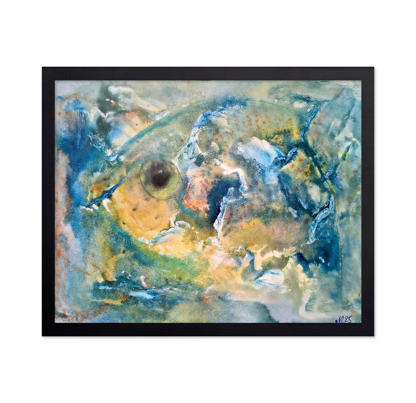 Fish in Motion