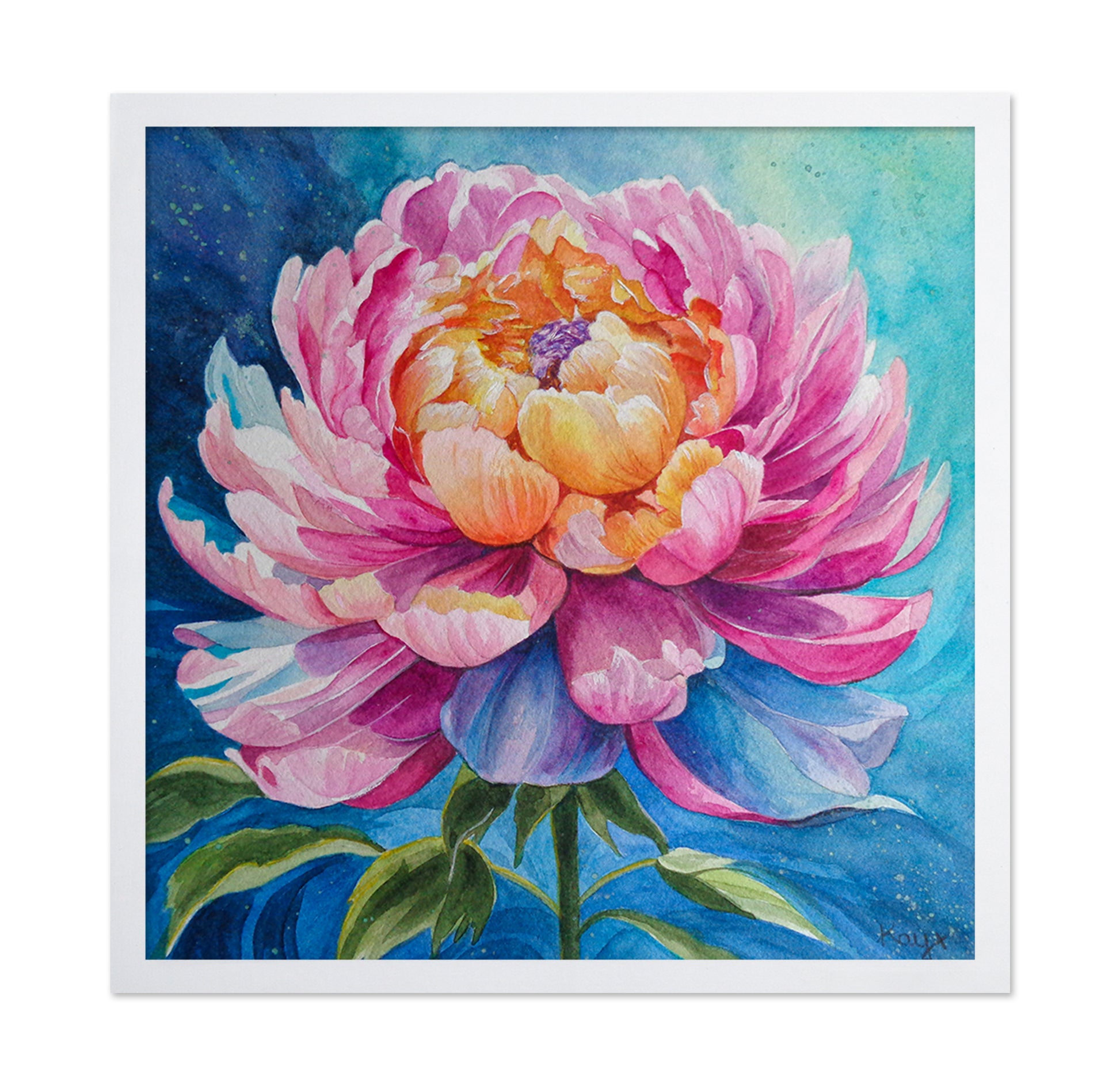 Tree Peony